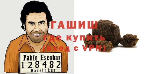 молекула духа Козельск