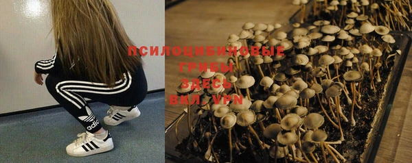 ешки Коряжма