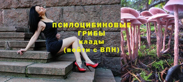 a pvp Краснотурьинск