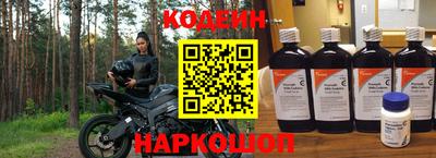 молекула духа Кингисепп