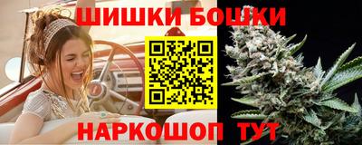 молекула духа Кингисепп