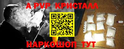 молекула духа Кингисепп