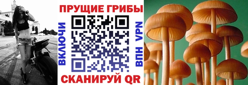 Псилоцибиновые грибы Magic Shrooms Узловая