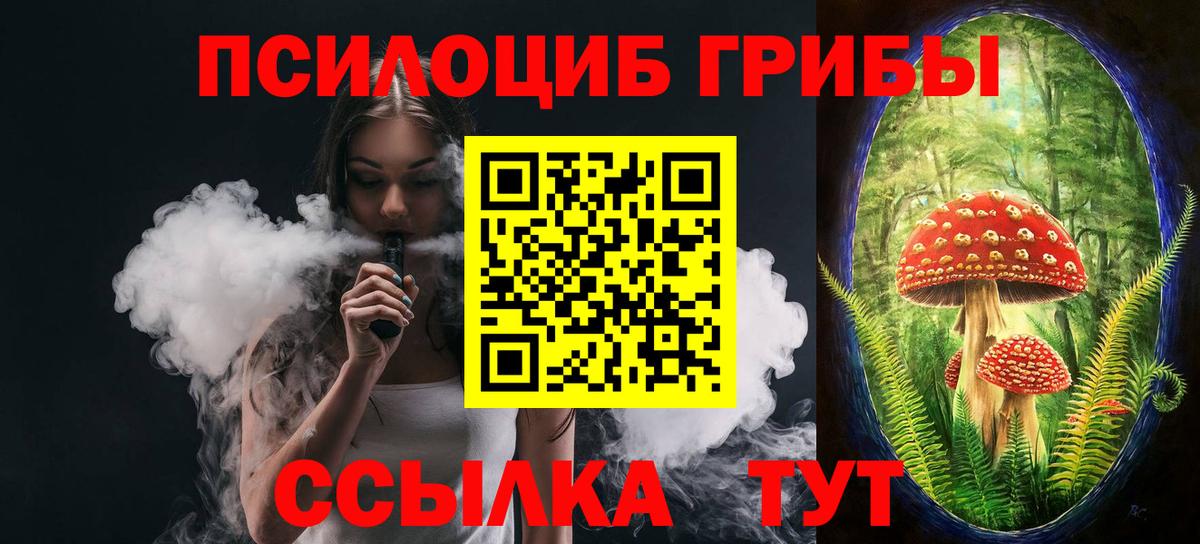 Галлюциногенные грибы Psilocybe  Вход с VPN  Узловая 