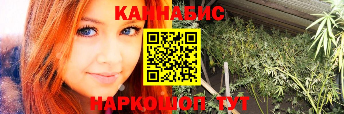 МАРИХУАНА OG Kush Узловая